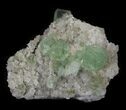 Sea Green Fluorite on Quartz - China #32491-4